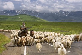 Skoraj tri četrtine Armenije pokrivajo kmetijska zemljišča. Večinoma gre za gorske pašnike, na katerih pasejo zlasti ovce, koze in konje. 