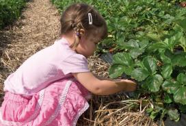5 predlogov, kako otroku približati naravo