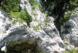 Po poteh minulih časov: arheološki parki Slovenije