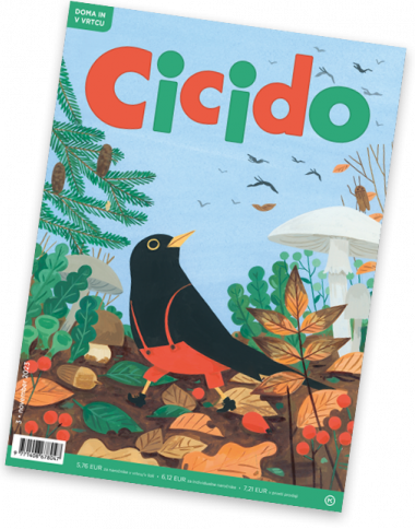 Revije-naslovnica CICIDO_03_0