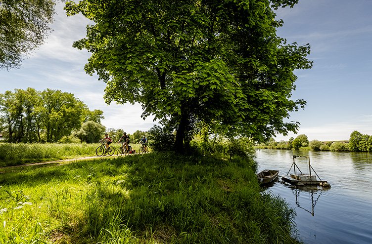 Eining-Hienheim kolesarjenje ob Donavi © DZT Frank Blümler