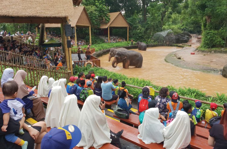 Učenci v živalskem vrtu