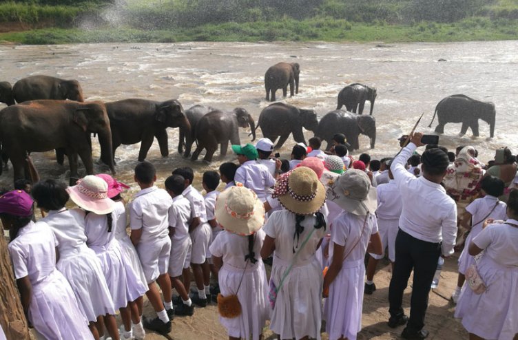 Učenci med obiskom sirotišnice za slone