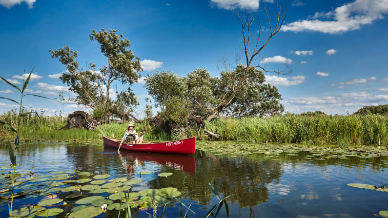 Uckermark, narodni park spodnje doline Odre: vožnja s kanujem © TMB-Fotoarchiv / Michael Handelmann