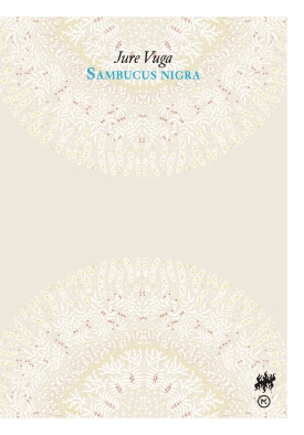 Sambucus nigra 1100px